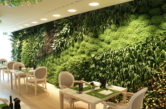 Mur végétal d'intérieur