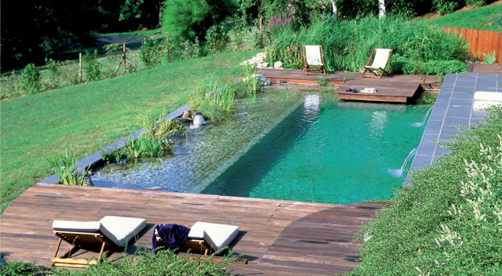 Piscine biologique & bassin naturel